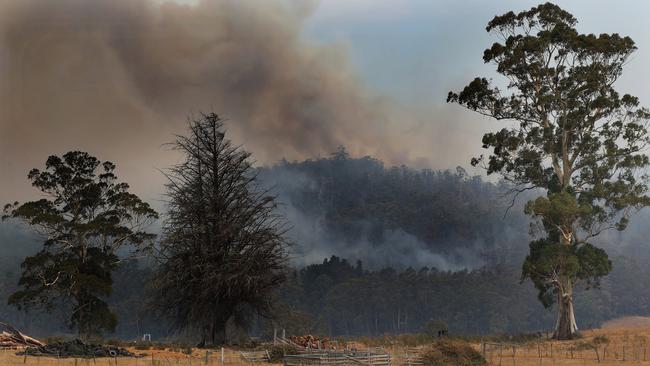 Fire activity on the Huon Highway around 2km out of Geeveston towards Cairns Bay yesterday. Picture: NIKKI DAVIS-JONES