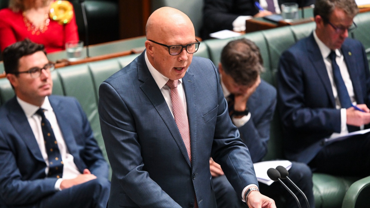 'Sack him': Peter Dutton calls on Anthony Albanese to fire Immigration Minister