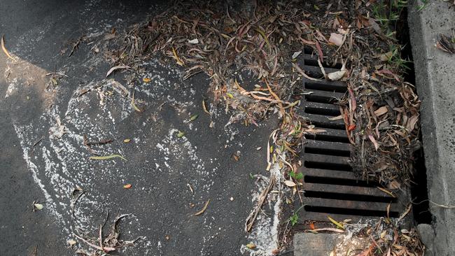 The sewage overflow left a trail into this stormwater drain.