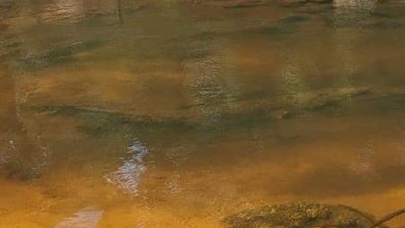 Upon closer inspection, the croc can be seen lurking underneath the water’s surface. Picture: Facebook