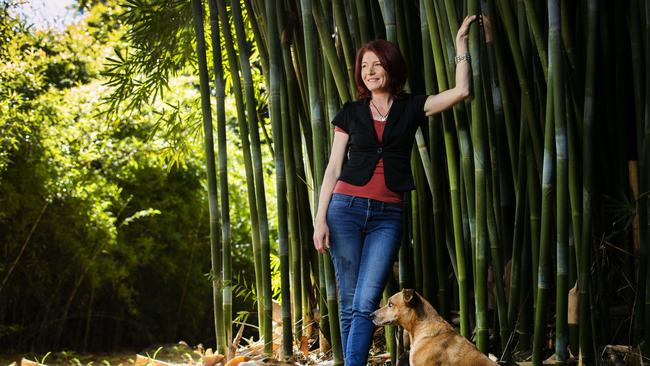 Big Heart Bamboo founder Becky Dart on her Belli Park bamboo plantation with her dog, Trixie. Picture: Lachie Millard