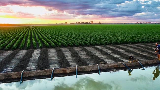 The siphon irrigation system at the Briggs family property at Coleambally. Picture: Supplied