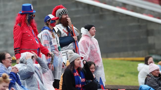 It is a tough time to be a Knights fan. Photo: Ashley Feder/Getty Images