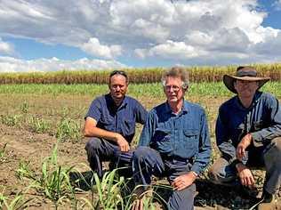 STAYING POSITIVE: Mackay region farmer Alastair Farquhar with his two sons, Brian and Alan.