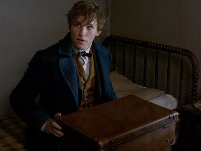 Fantastic Beasts ... It’s not Harry Potter but there’s magic and a British boy.