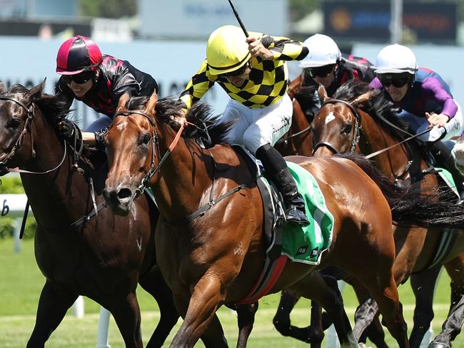 SYDNEY, AUSTRALIA - JANUARY 25: Aaron Bullock riding Clear Thinking win Race 3 TAB Highway Handicap  during Sydney Racing at Royal Randwick Racecourse on January 25, 2025 in Sydney, Australia. (Photo by Jeremy Ng/Getty Images)