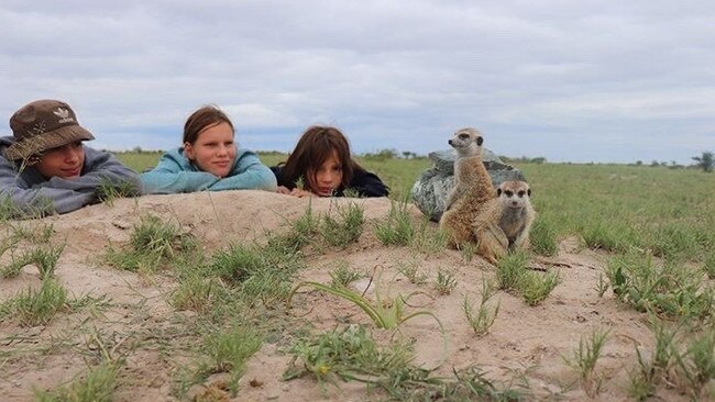 Children enjoy a trip to southern Africa, where they are able to interact with wildlife. Picture: supplied by Travel Africa