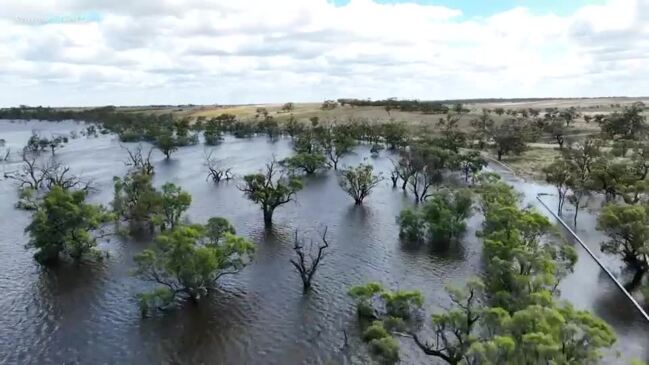 Flooded Waikerie lagoon where man's body was found