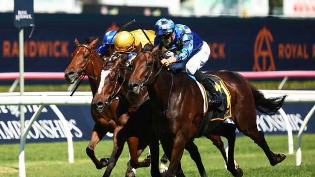 Dylan Gibbons rides Circle Of Fire to victory in the Chairman's Quality at Randwick on April 6. Picture: Jeremy Ng / Getty Images