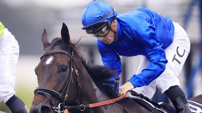 Tim Clark (pictured) partners Argentado for James Cummings. Picture: Getty Images