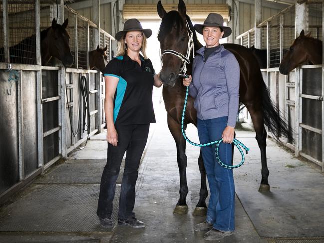 The twins opened up their stables and took in six horses while finding homes for another 24.