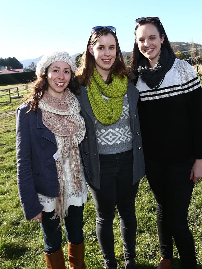 SOCIALS: Mid-Winter Fest, Willie Smith's Apple Shed, Grove: Suzanne Polouktsis, North Hobart.