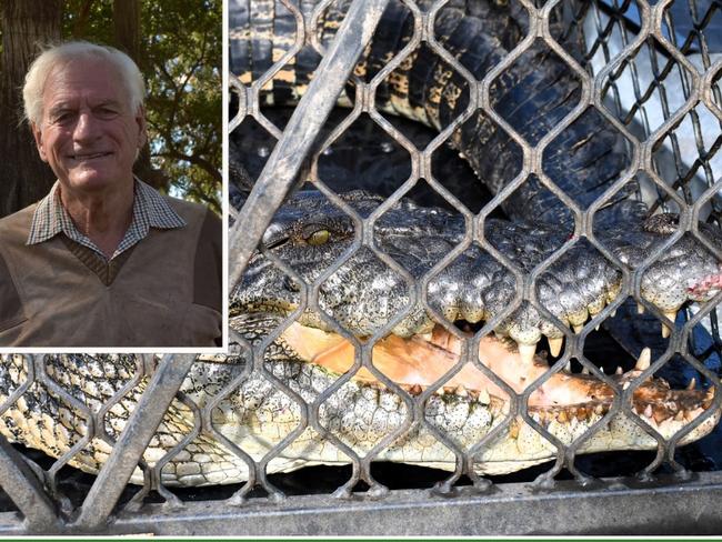 There's a fresh push for the Fitzroy River to be rezoned so all crocs spotted in the recreation area are removed.