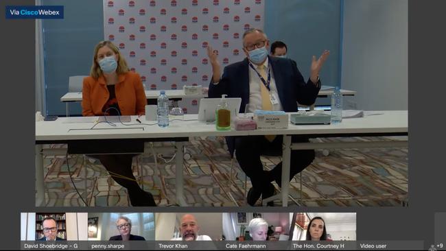 Kerry Chant and Brad Hazzard are questioned during an Inquiry into the NSW government's management of the Covid-19 pandemic. Picture: NSW Parliament