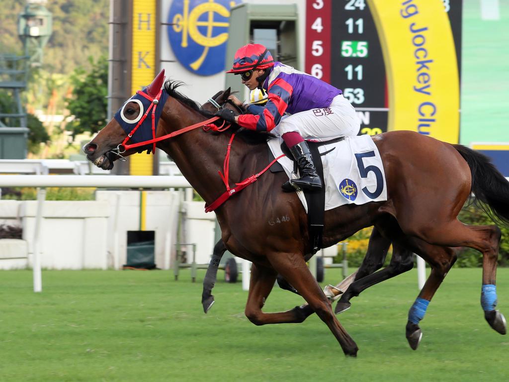 Happy Together is chasing his sixth win of the season. Picture: HKJC