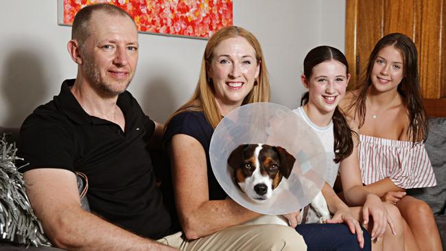 Lee and Monica Watts with their daughters Lauren, 11, and Evie, 14, and Hunter. Picture: Adam Yip