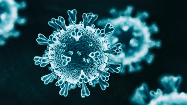 The UK coronavirus variant is believed to be up to 70 per cent more infectious, and has prompted national lockdowns in England and Scotland, which are unlikely to lifted until at least mid-February.