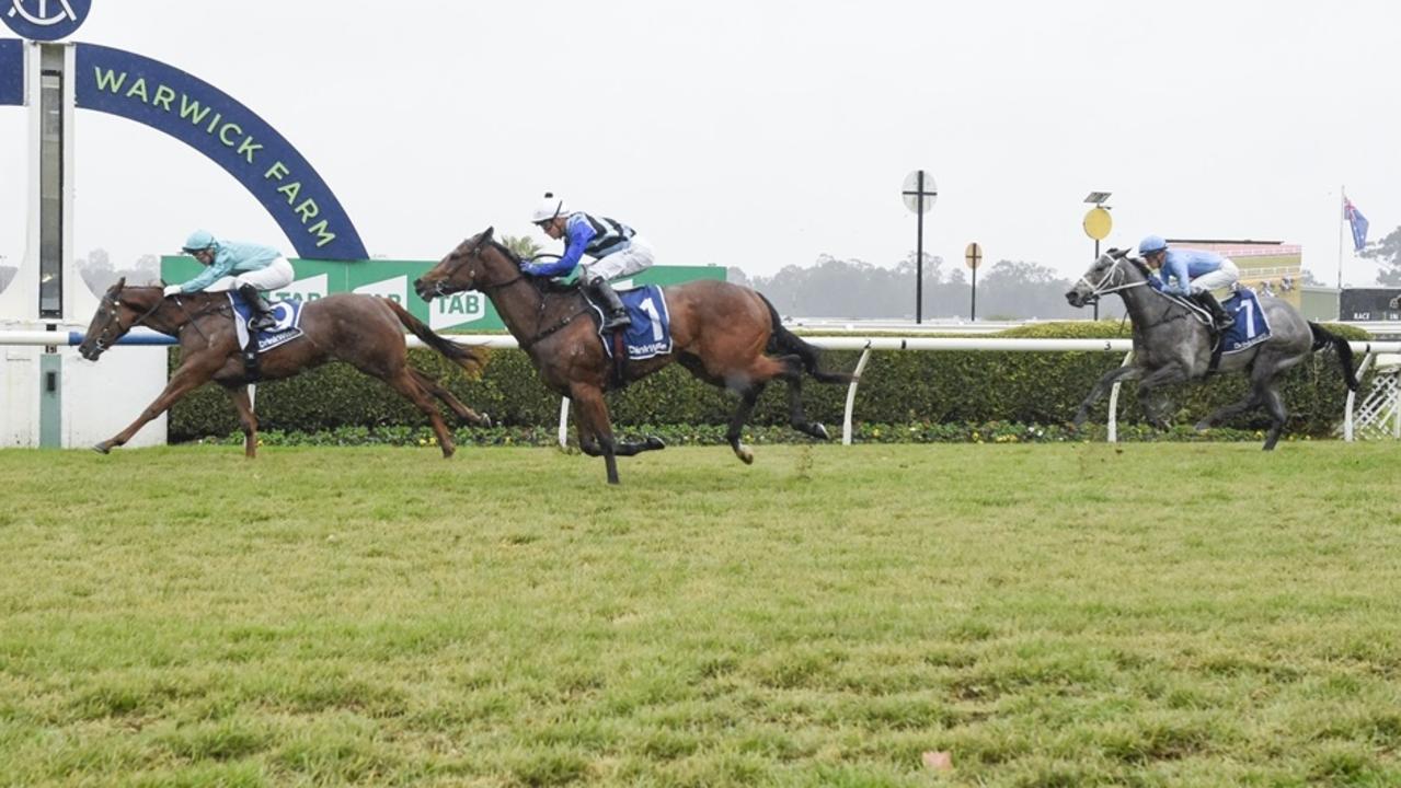 I Am Famous finishing third on debut at Warwick Farm. Picture: Bradley Photos DIGITAL USE ONLY