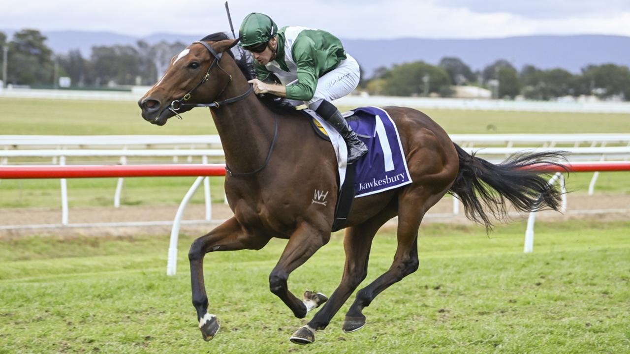 House Of Cards, pictured winning at Hawkesbury in September last year, is Mitch Cohen's best bet of the day at Warwick Farm on Wednesday. Picture: Bradley Photos