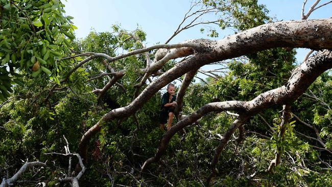 Levi Mitchell, 7 and Moonlight the chicken wonder through the tropical wasteland left by Cyclone Marcus. Picture: Keri Megelus