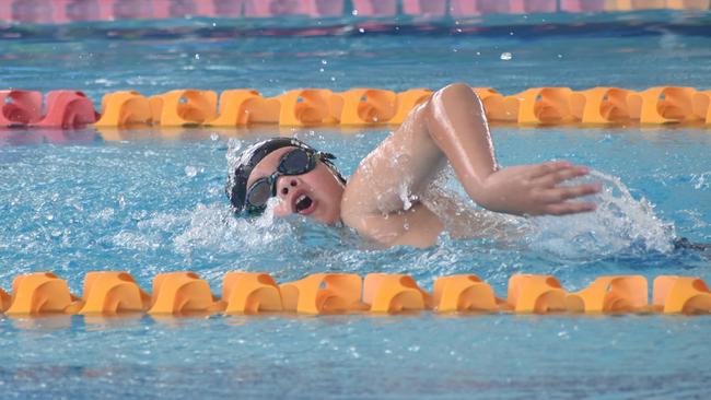 Beef City Swim Meet at 2nd World War Memorial Aquatic Centre, Rockhampton, on October 26, 2024. Photo: Pam McKay