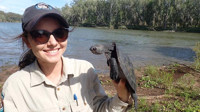 Kymberly Robinson said her role as a DESI Wildlife Officer was flexible enough to allow her to complete a Master’s degree with a focus on the vulnerable Fitzroy River turtle, a Queensland native. Picture: Supplied