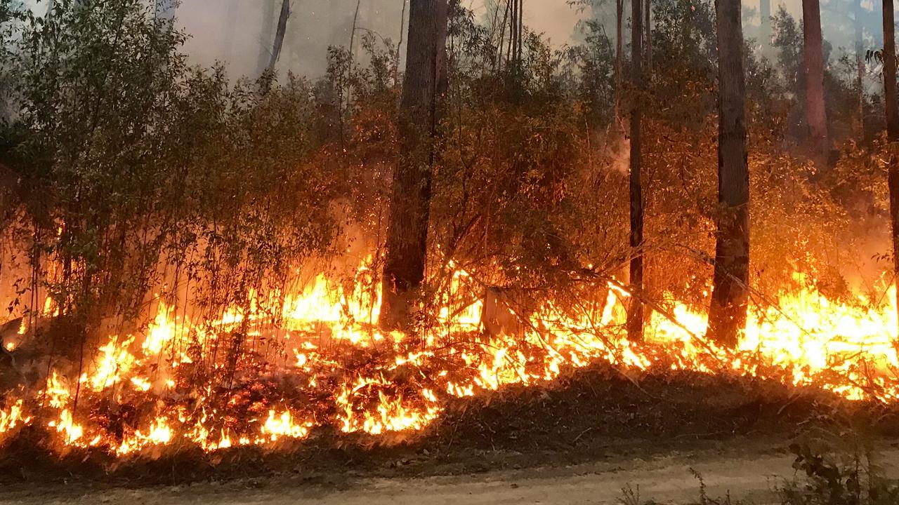 NSW rural fire service volunteer accused of lighting fires | Gold Coast ...