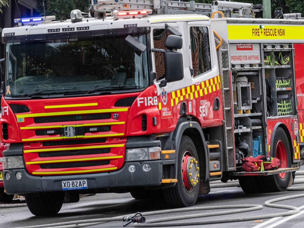 A 20-year-old man and two dogs died in the fire. Picture: NewsWire / James Gourley