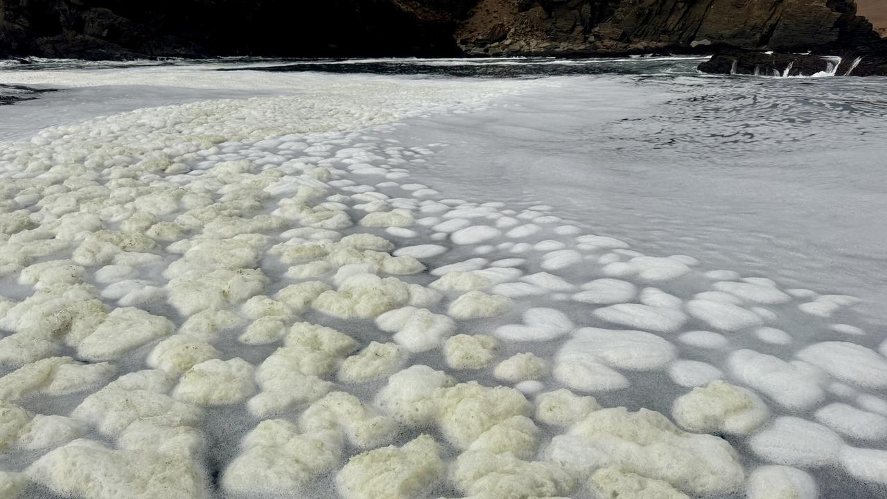 Storms on the horizon for SA: Could it bring marine relief?