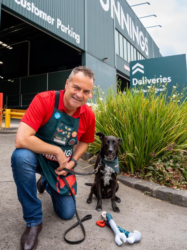 Bunnings managing director Mike Schneider and his dog Henry.