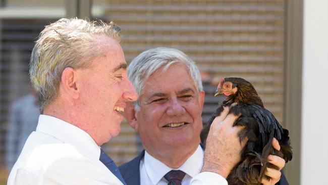 PAGE MP Kevin Hogan with Minister for Aged Care Ken Wyatt and 'Mischief'. Picture: Adam Hourigan