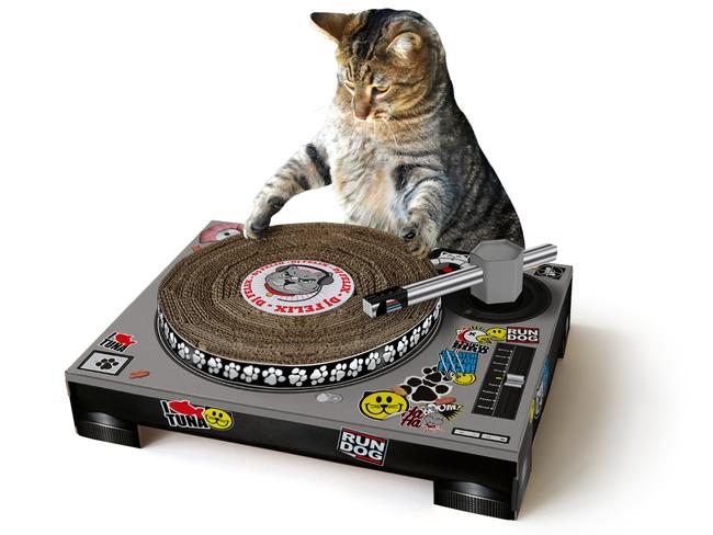 Cool cats will love scratching up this cardboard turntable. Cat Scratch DJ Deck by Suck UK, $59.99, from Yellow Octopus, yellowoctopus.com.au