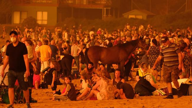 Australian endured a horror fire season. Picture: Alex Coppel.