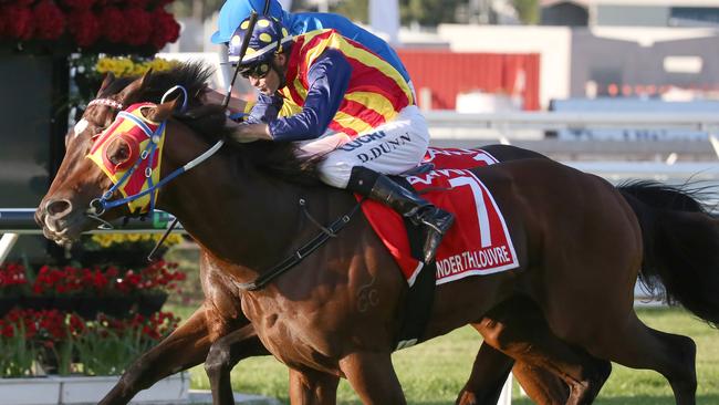 Under The Louvre wins Queensland’s premier race, the Group 1 Stradbroke Handicap, at Eagle Farm nine days ago. Picture: Jono Searle