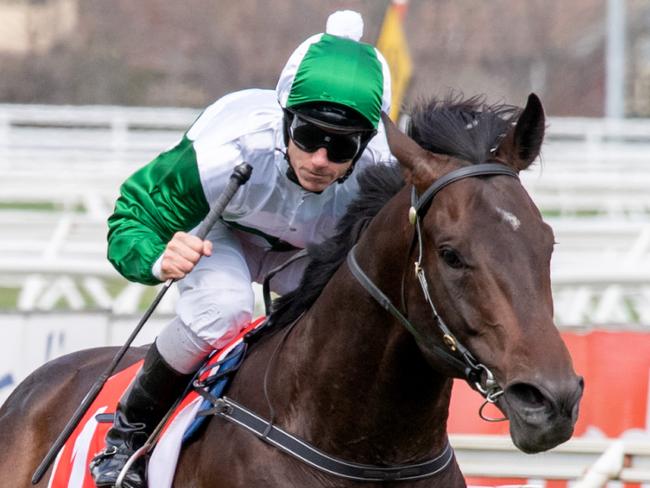 Caulfield Cup DayRace 6. Ladbrokes ClassicWon by Thinkin' BigRidden by Tim ClarkTrained by Gai Waterhouse and Adrian Bott (not present)Picture Jay Town