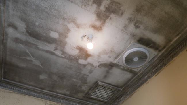 The grandmother says the mould has resulted in her suffering from adverse health conditions. Picture: Mark Brake