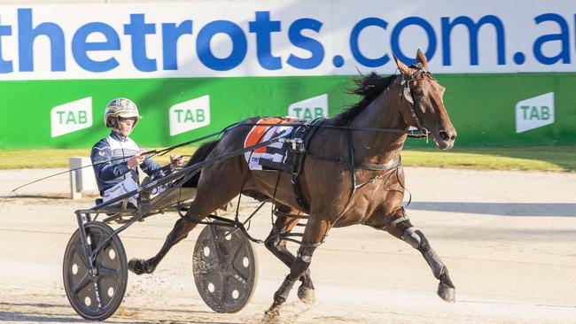 Outstanding pacer The Lost Storm makes his comeback at Melton on Saturday night. Picture: Stuart McCormick