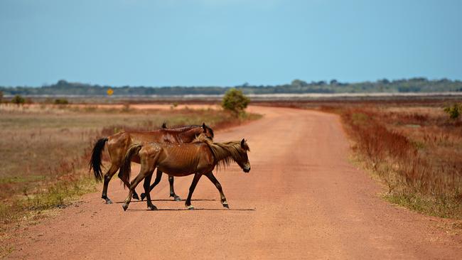 Roads across both West Arnhem Land and the Tiwi Islands have ben identified as a top concern among Arafura voters. Picture: Michael Franchi