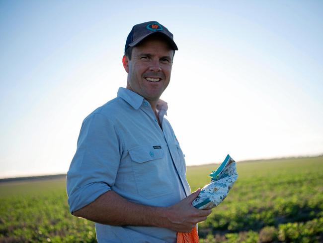 FAMILY FARM: Angus Woods with a faba bean crop on their property, near Goondiwindi. Picture: Contributed