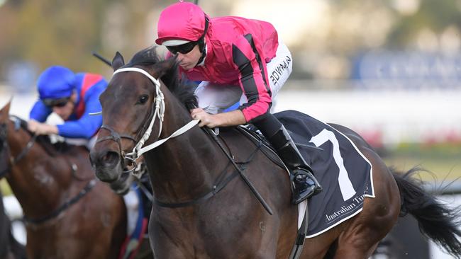 Former Chris Waller horse Paret was back in the winners’ circle ... in America. Picture: AAP