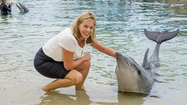 MP Angie Bell. Picture: Jerad Williams