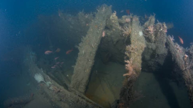 Divers find mystery shipwreck off Sydney coast, believed to be tug boat ...