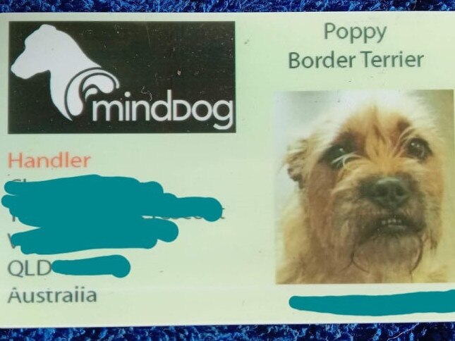 The official ID for mindDog Australia accredited mental health assistance dog, Poppy. Poppy's owner, Cheryl Cogan alleges she was denied access to a Gold Coast doctor's office because of her assistance dog on May 21 and filed complaints with the Office of the Health Ombudsman and the Human Rights Commission. Picture: Cheryl Cogan