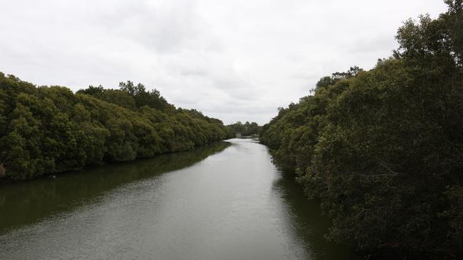 The Cooks River Picture: (AAP IMAGE / Robert Pozo)