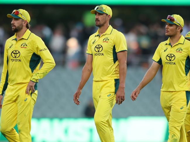 Cricket has been dragged into the debate. Picture: Maya Thompson/Getty Images