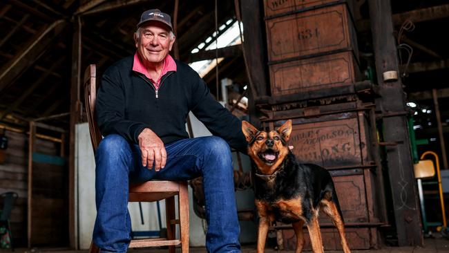 David Allen, Boorook, Mortlake cattle producer. Photo: Nicole Cleary.