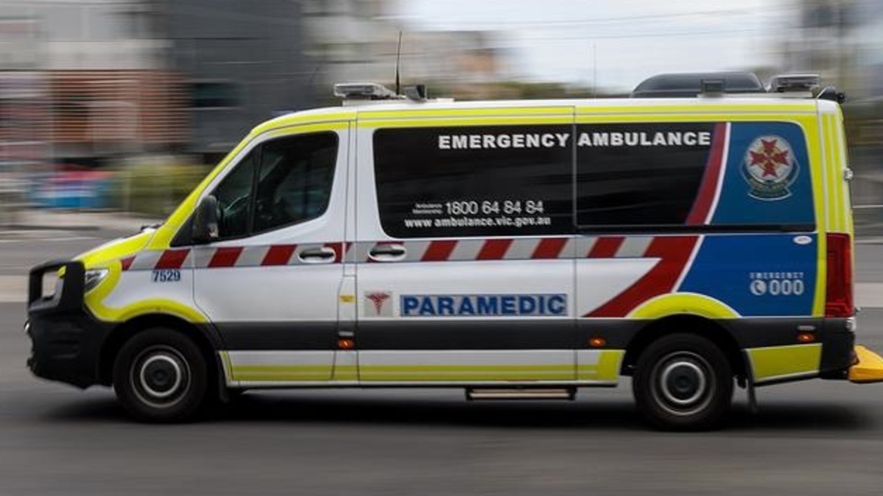 Woman fighting for life after vicious dog attack in Dandenong