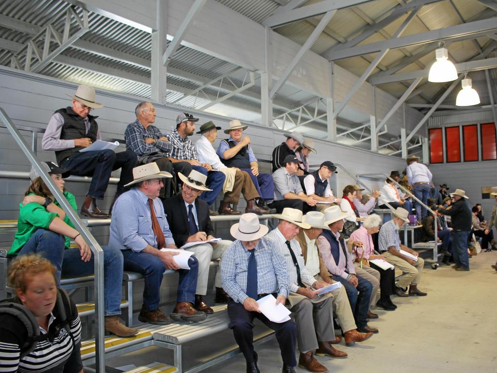 Mackay Show 2019: Competition and social photos | The Weekly Times