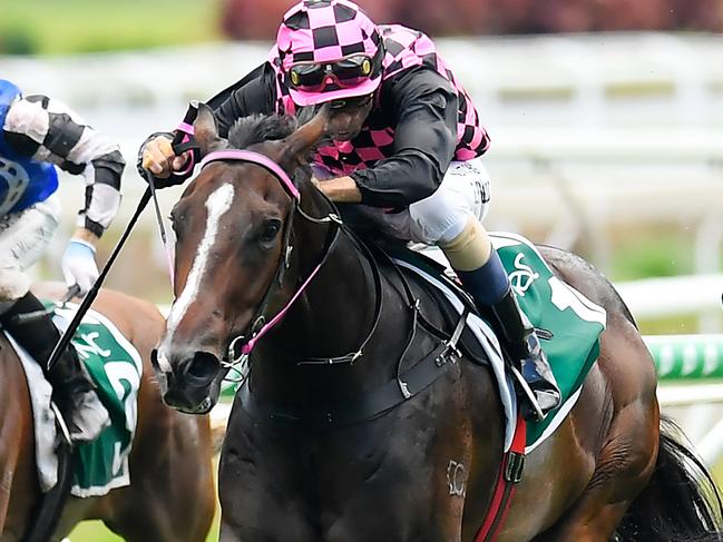 Jockey Robbie Fradd rides Rothfire to victory in race 1, the QTIS 2YO Handicap, during Saturday Raceday at Eagle Farm Racecourse in Brisbane, Saturday, February 15, 2020. (AAP Image/Albert Perez) NO ARCHIVING, EDITORIAL USE ONLY