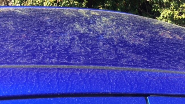 Grain dust on a car near Semaphore Containers.